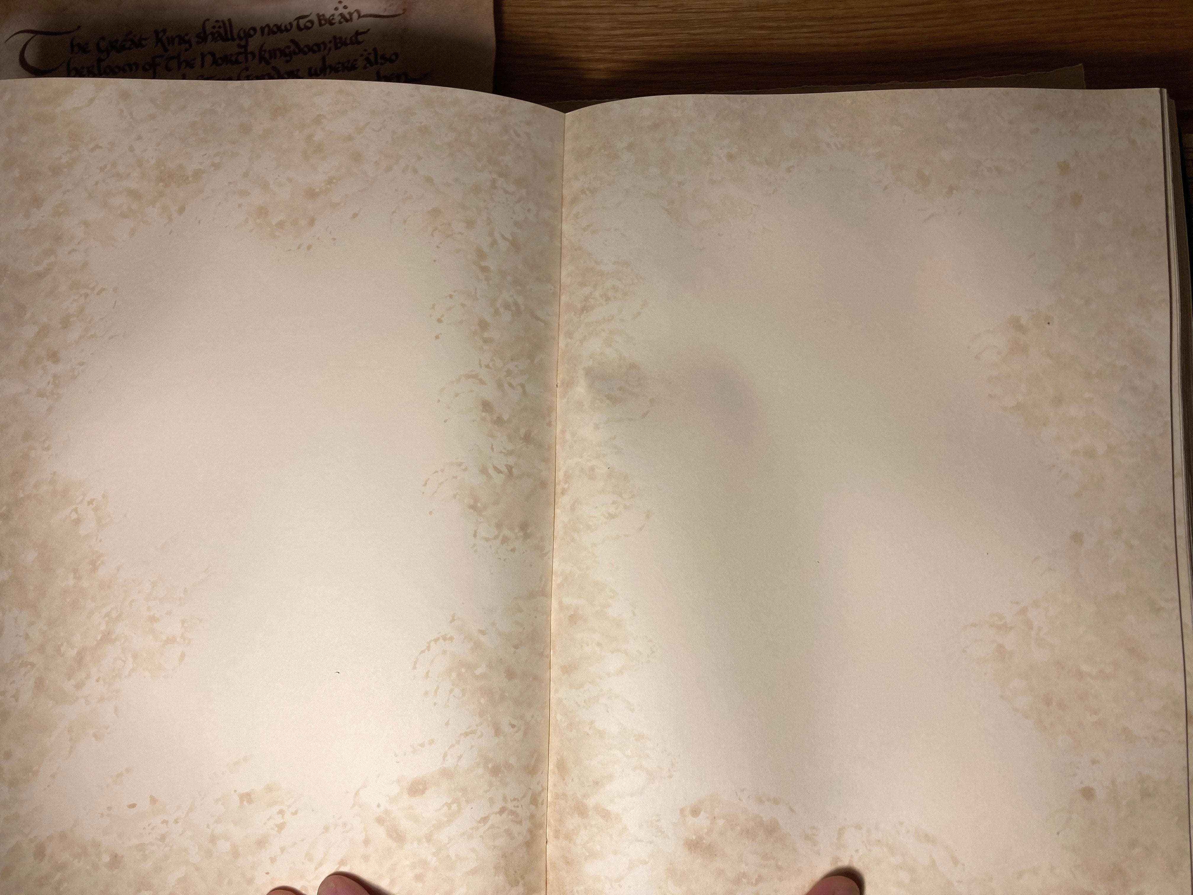 Livre elfique vierge - Image 4