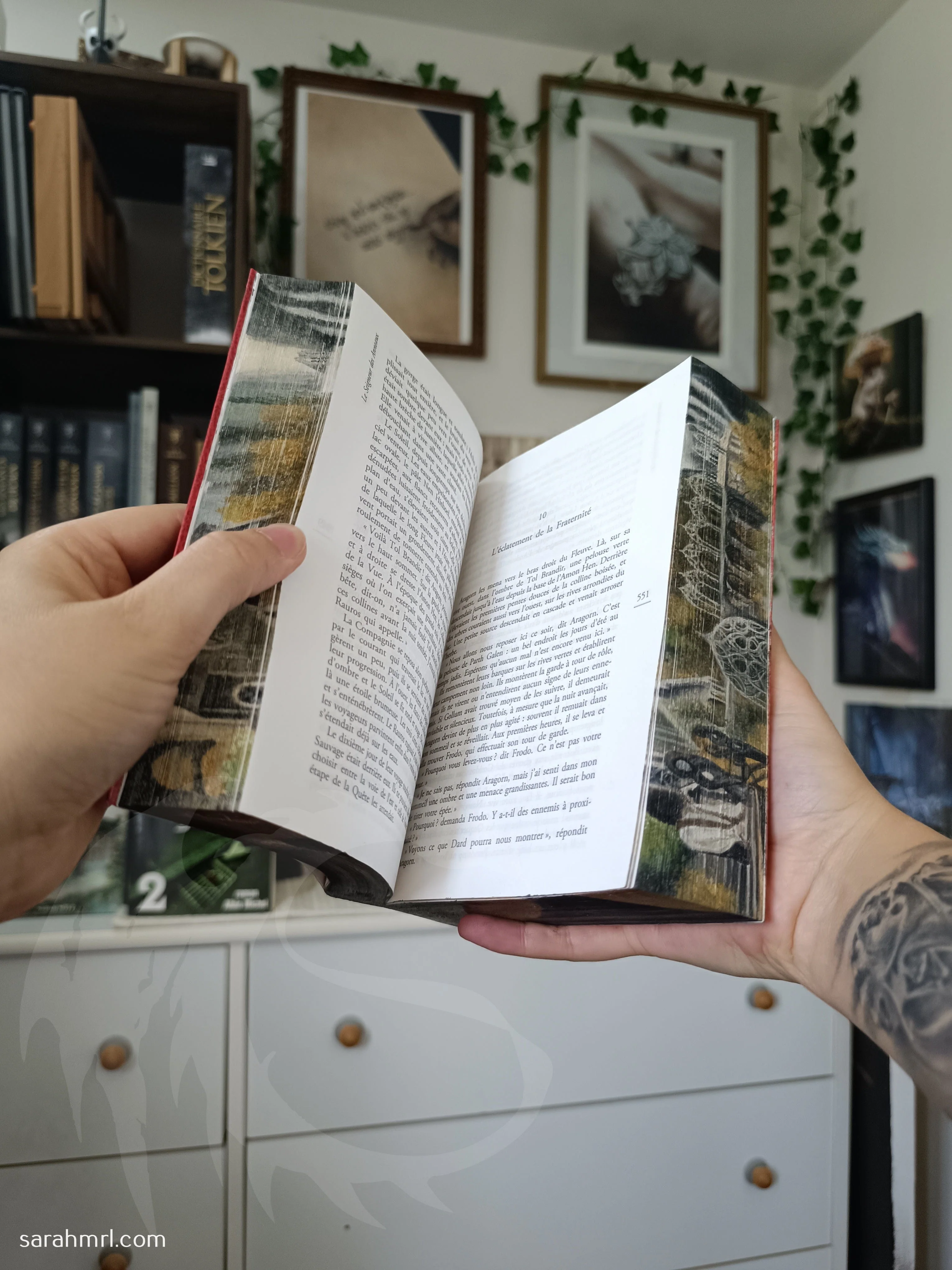 Le Seigneur des Anneaux – Livre peint à la main (édition Pocket française 2018) - Image 6